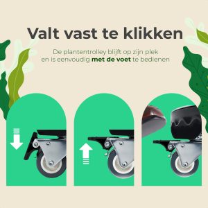 Sunny Tree Pflanzenroller - Tragkraft bis 300 KG - 360 Grad drehbare Räder - Ø 30-50 Zentimeter