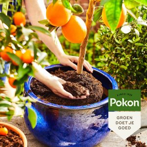 Pokon Bio Mediterrane Blumenerde